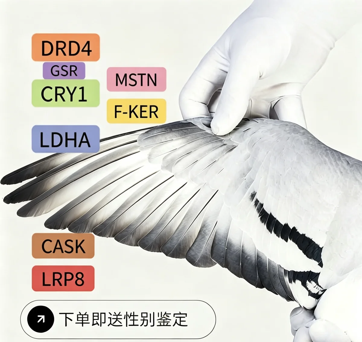 結果分析